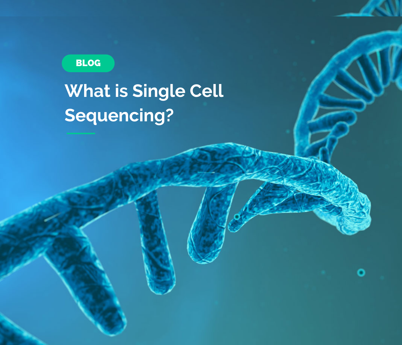 What Is Single Cell Sequencing? Your Guide To ScRNA-seq